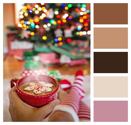 Cozy Hot Chocolate Christmas Image